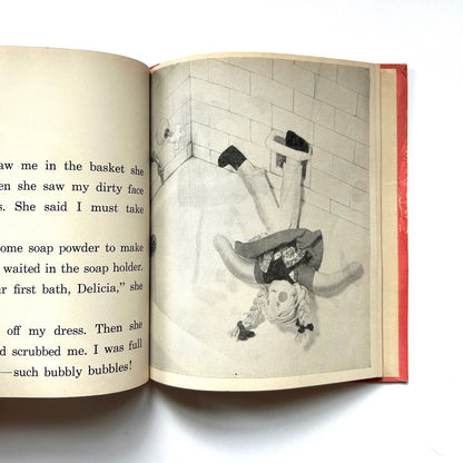 The Story of Delicia