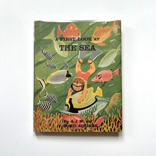 A First Look at the Sea