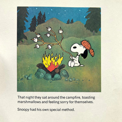 It Was a Short Summer Charlie Brown