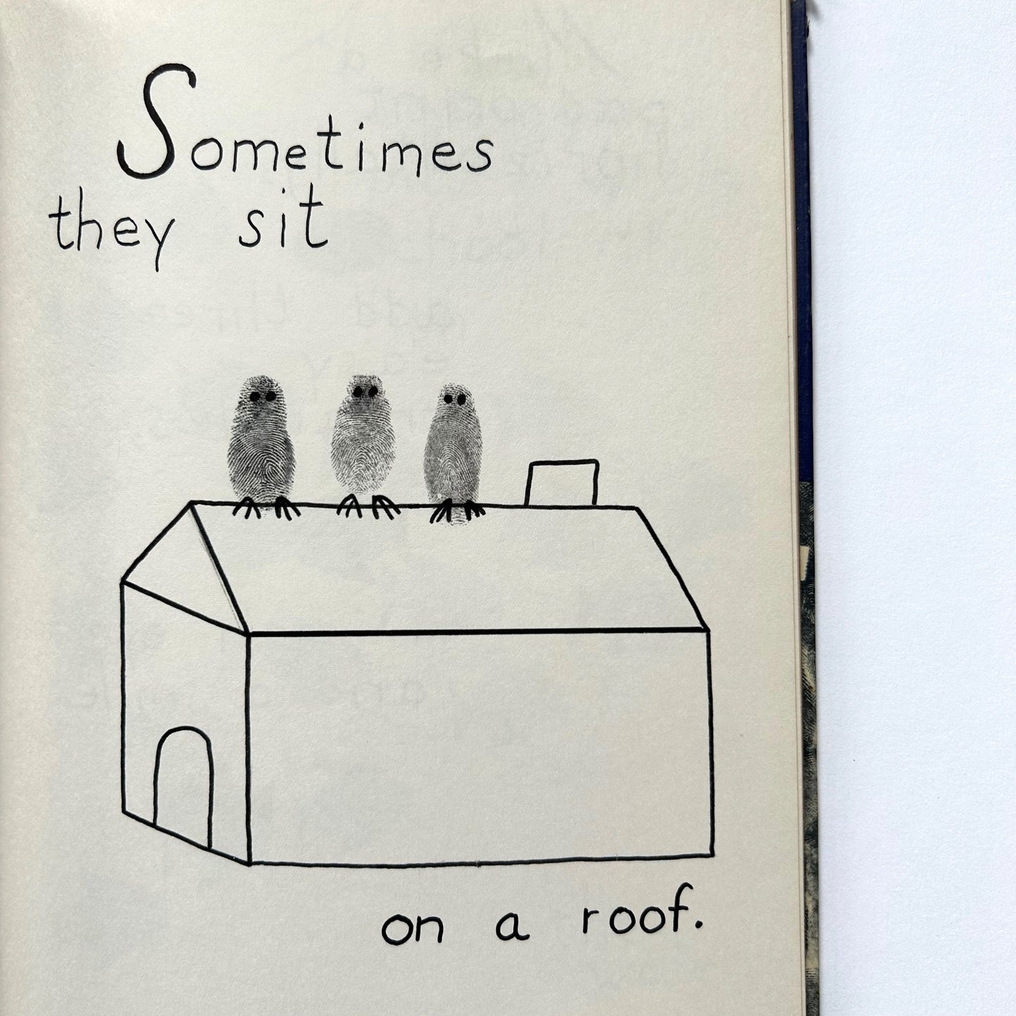 Fingerprint Owls and Other Fantasies