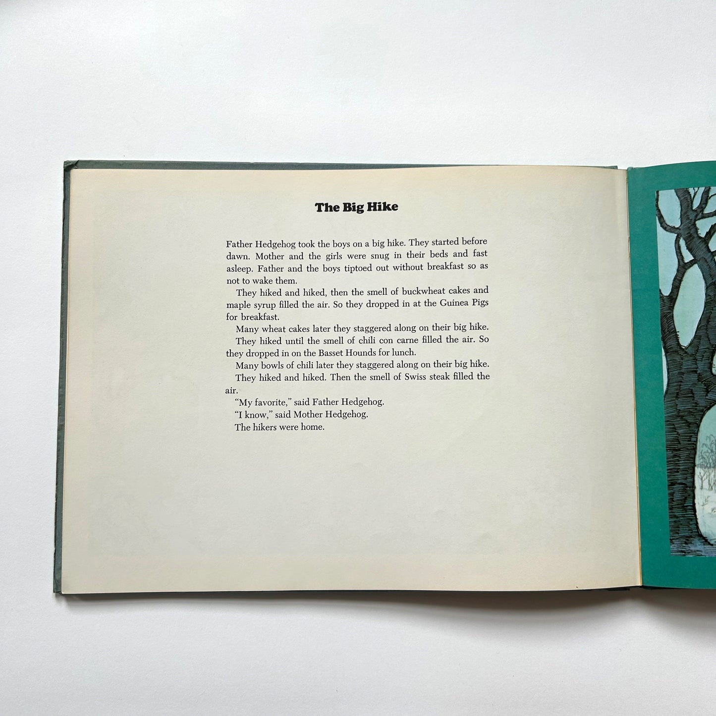 Night-Lite Storybook