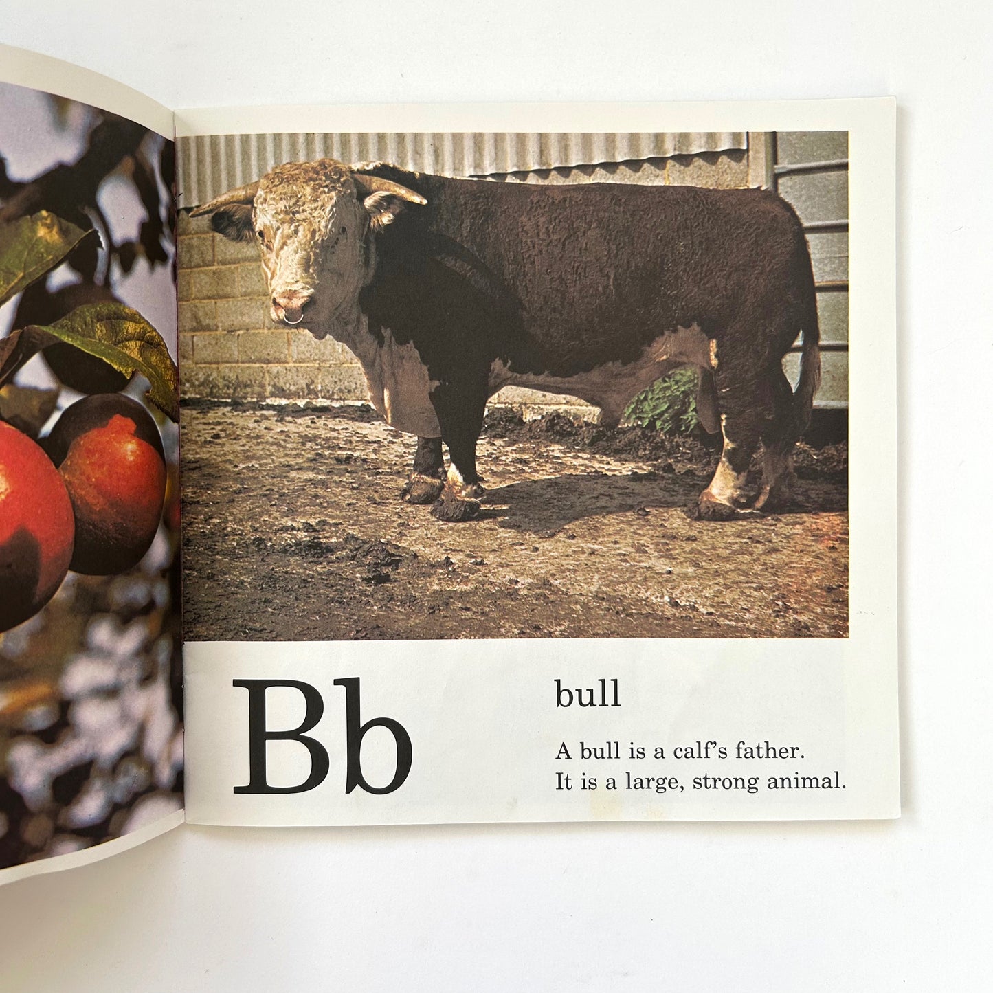 Farm Alphabet Book