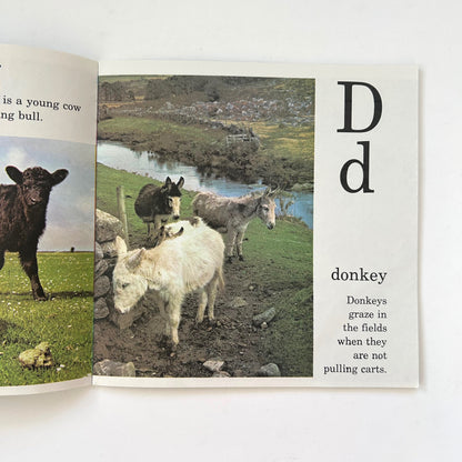 Farm Alphabet Book