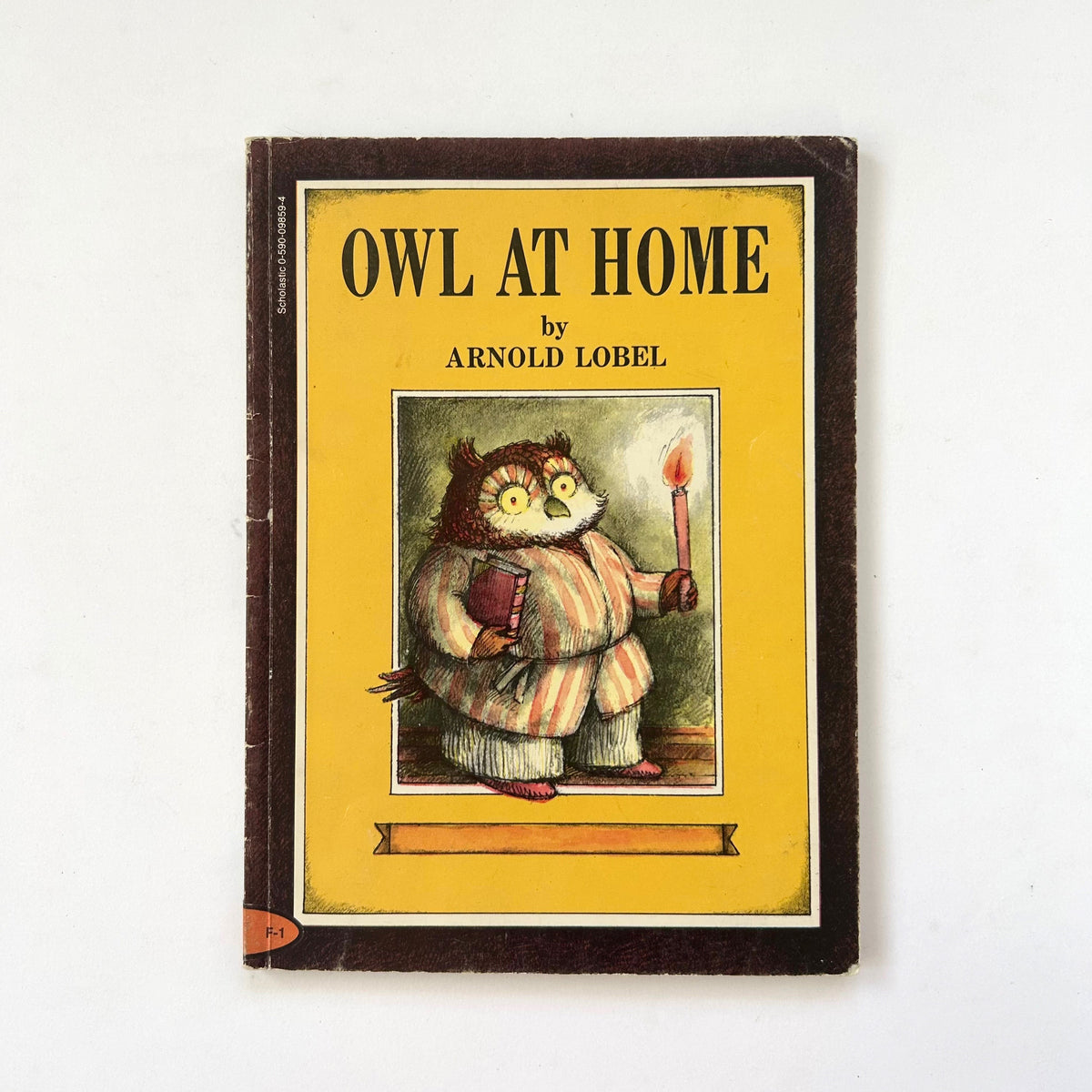 Owl At Home