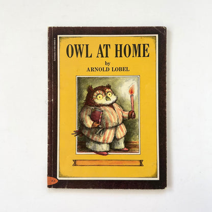 Owl At Home
