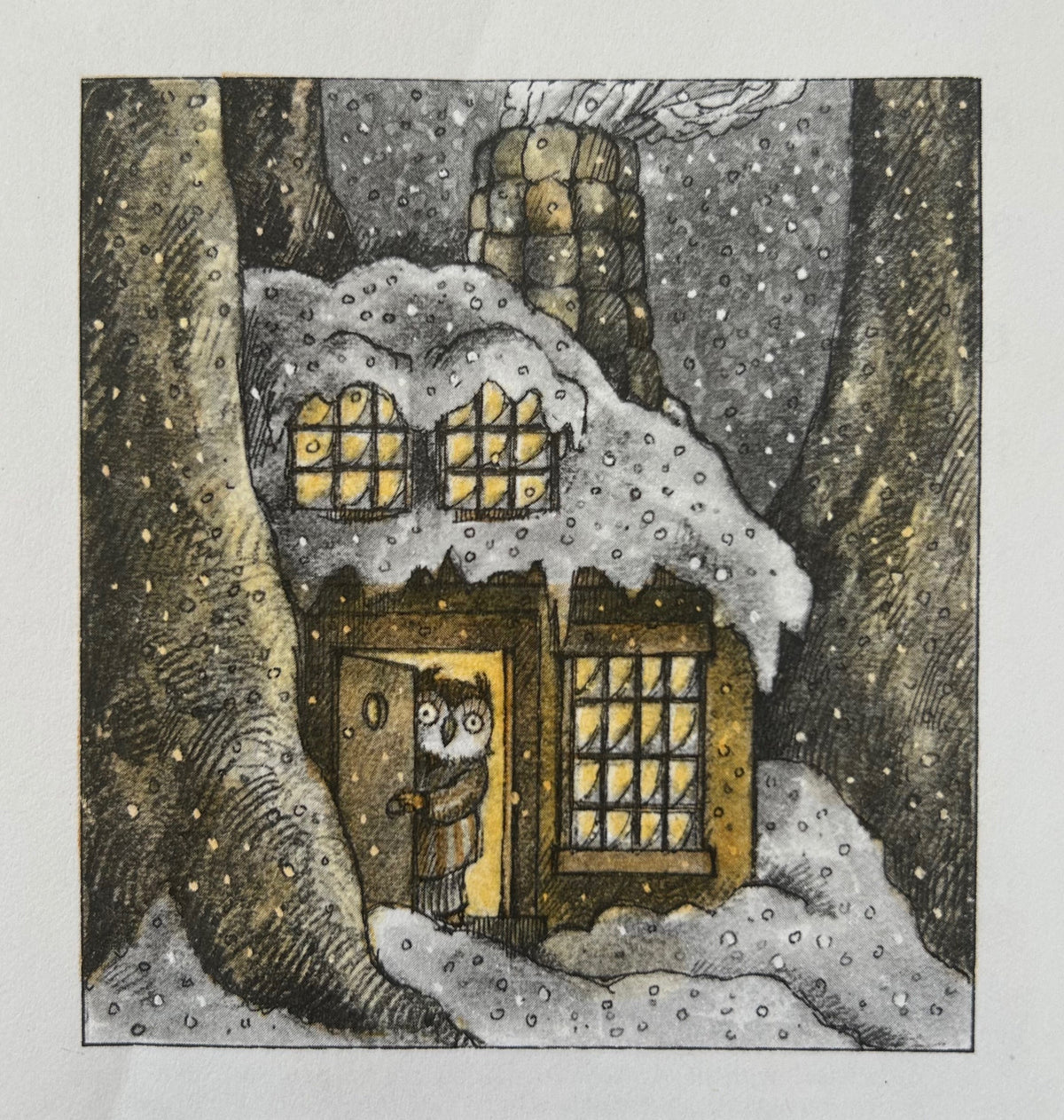 Owl At Home