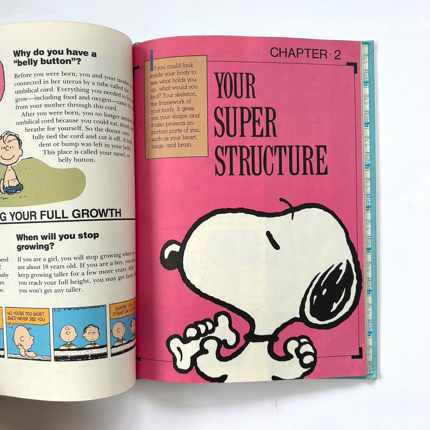 Charlie Brown's 'Cyclopedia: Your Amazing Body