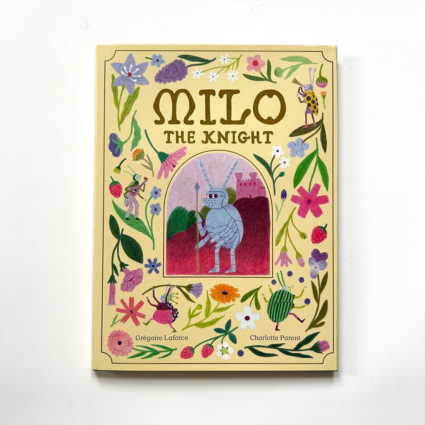 Milo the Knight