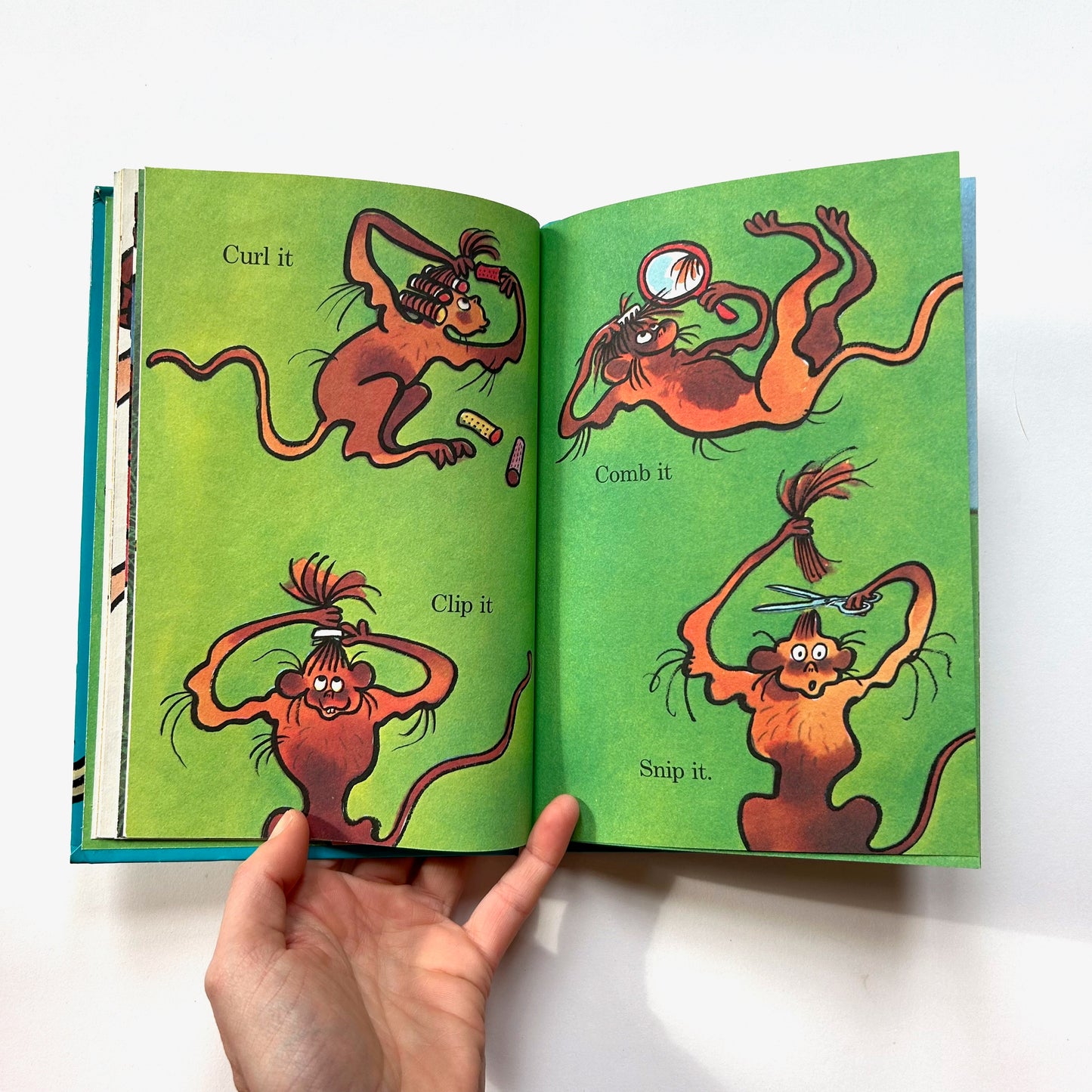 The Hair Book