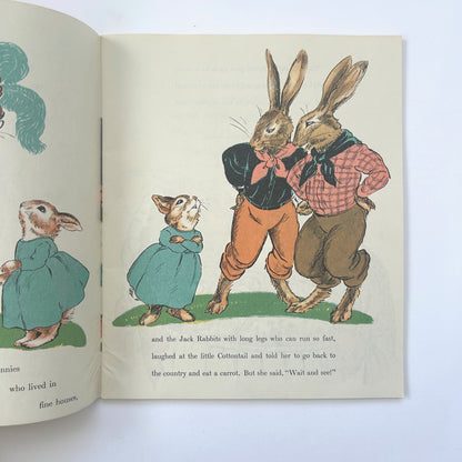 The Country Bunny