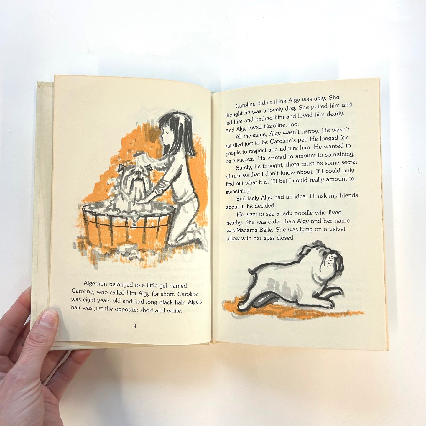 The Ugliest Dog in the World