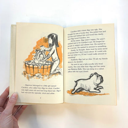 The Ugliest Dog in the World