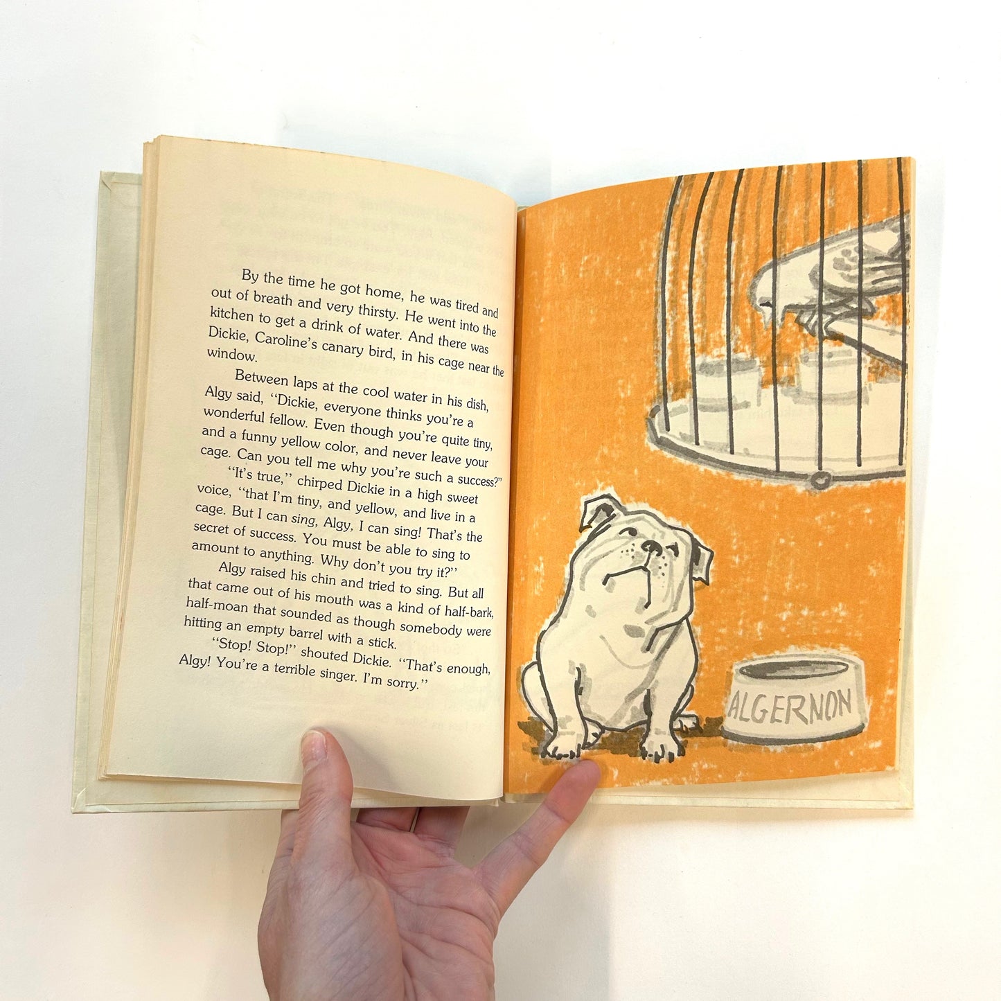 The Ugliest Dog in the World