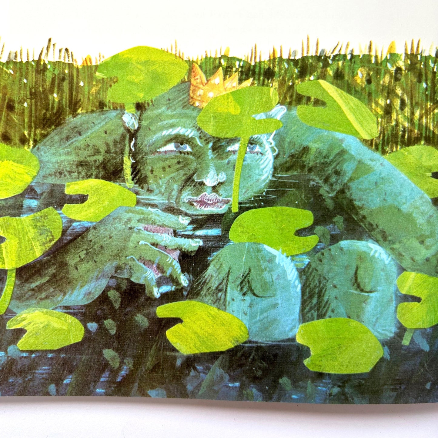 Eric Carle Treasury of Classic Stories for Children