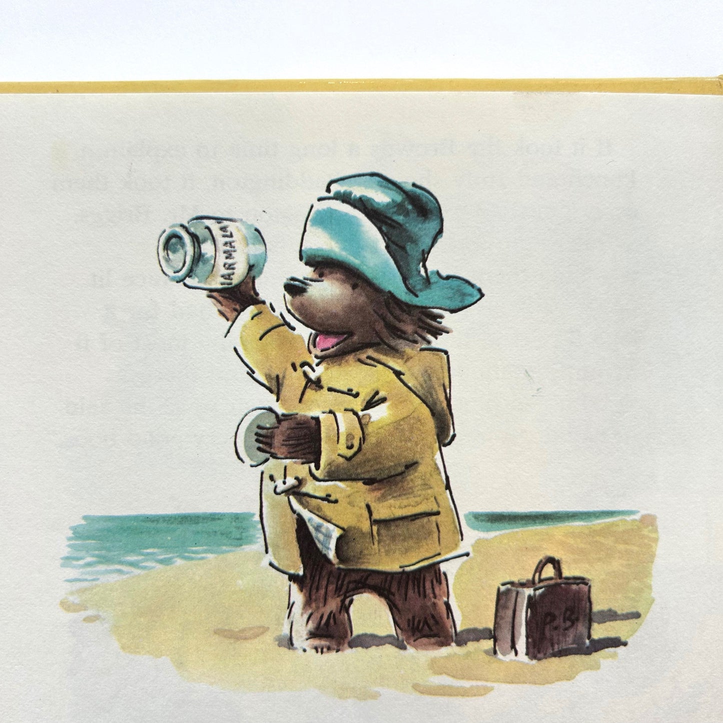 Paddington Book Collection