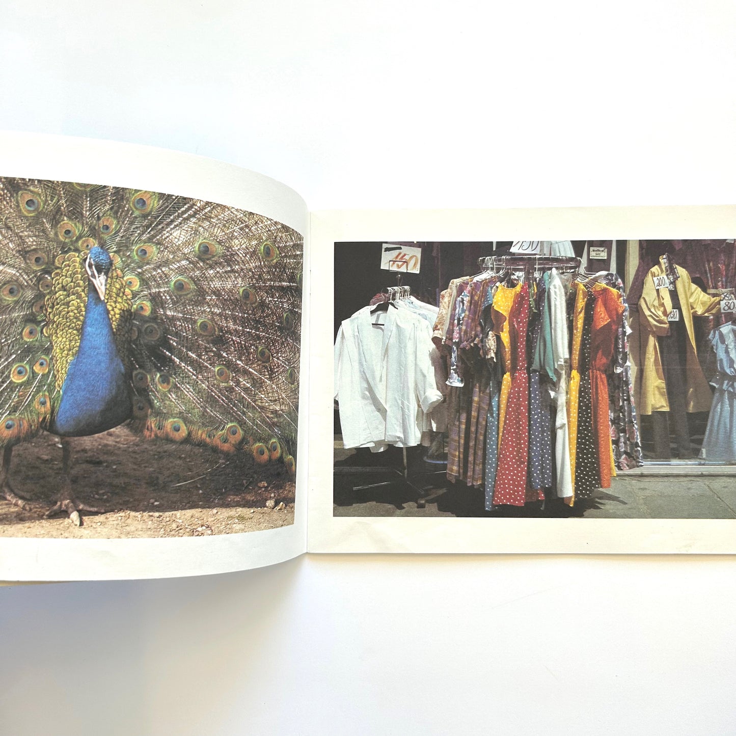 Dots, Spots, Speckles, and Stripes