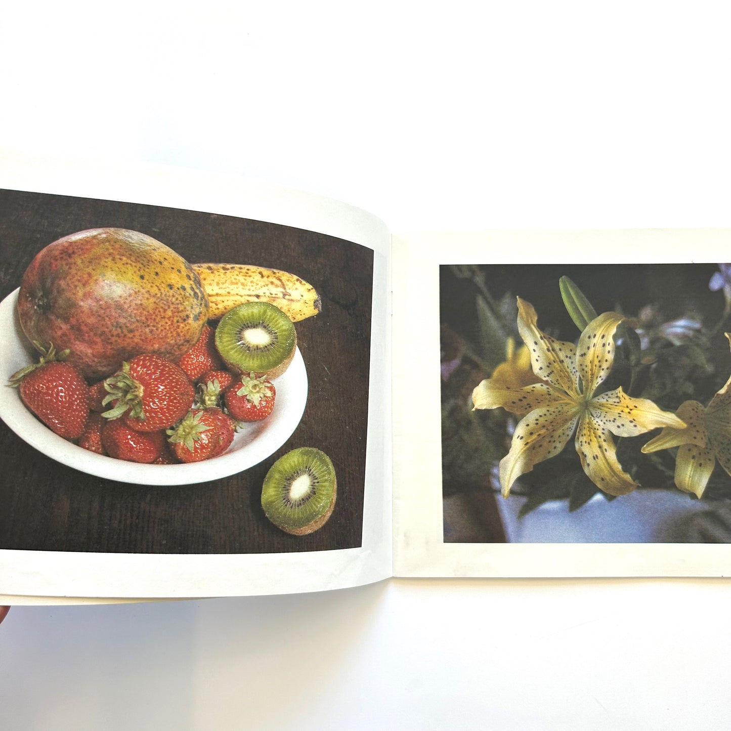 Dots, Spots, Speckles, and Stripes