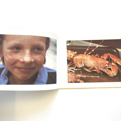 Dots, Spots, Speckles, and Stripes