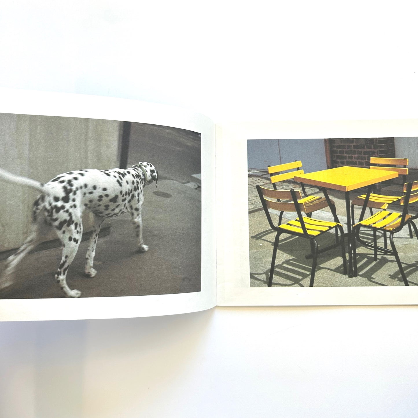 Dots, Spots, Speckles, and Stripes