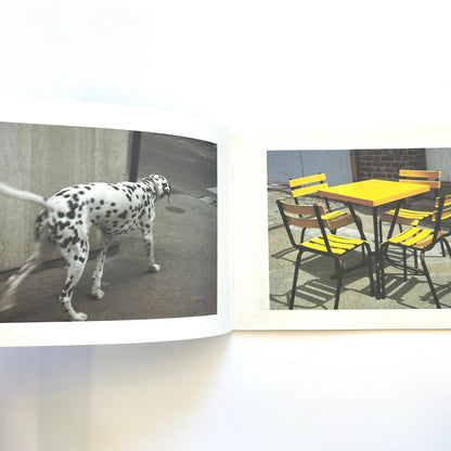 Dots, Spots, Speckles, and Stripes