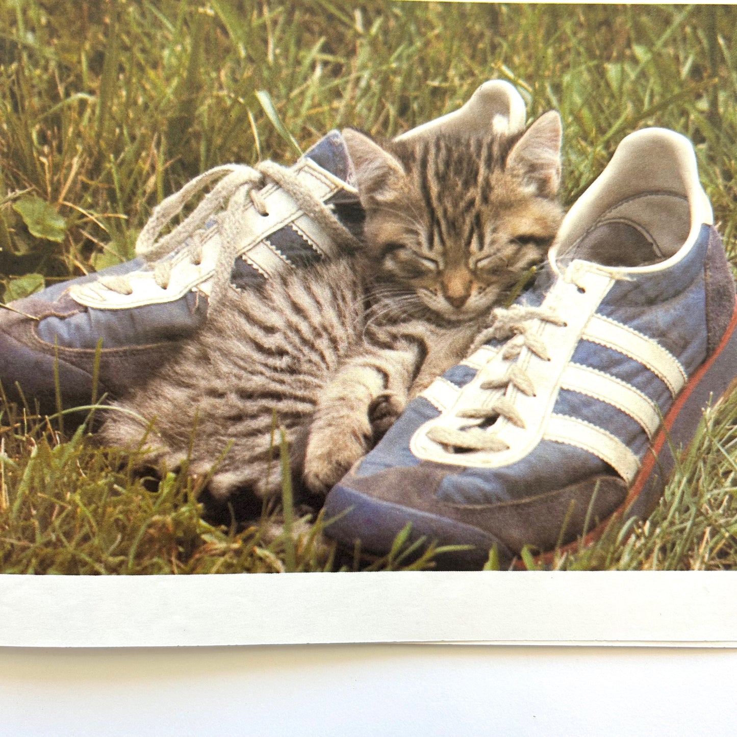 Dots, Spots, Speckles, and Stripes