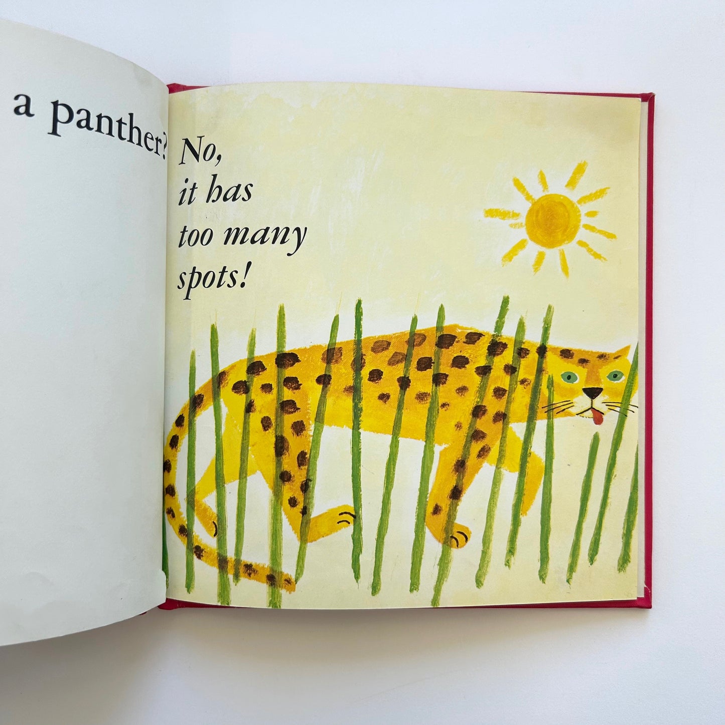 Would You Like a Parrot?