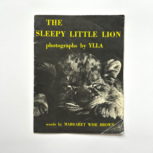 The Sleepy Little Lion