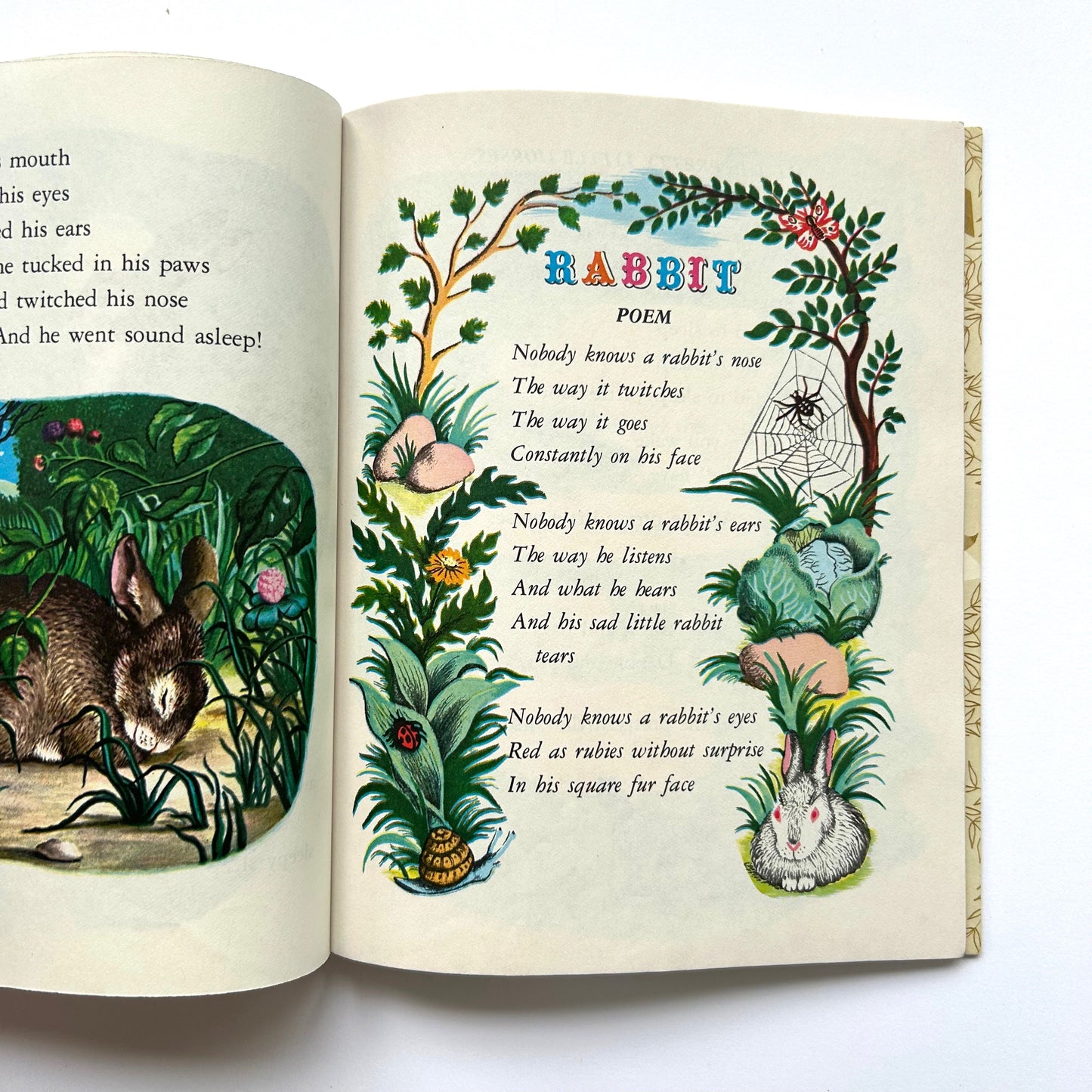 The Sleepy Book