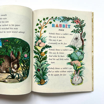 The Sleepy Book