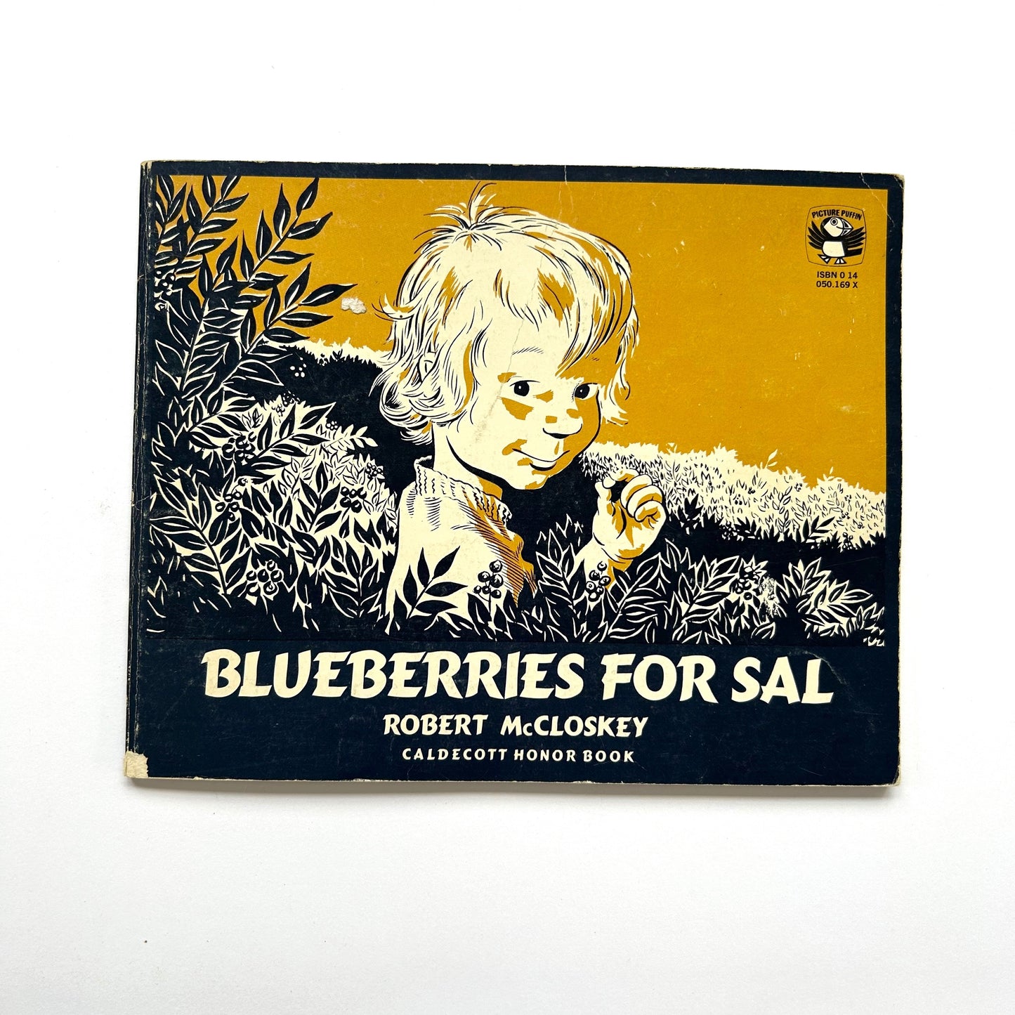 Blueberries for Sal
